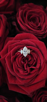 Marquise RIng Moissanite 1.5ct Sienna