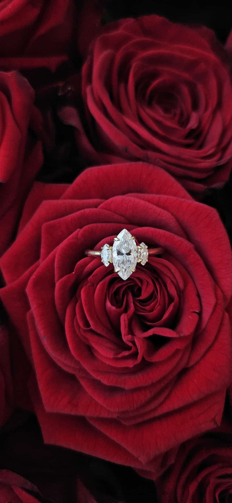 Marquise RIng Moissanite 1.5ct Sienna